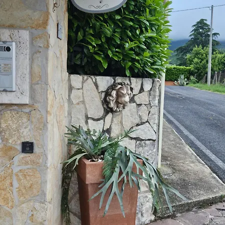 Ferro Di Cavallo
