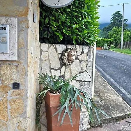 Ferro Di Cavallo Tivoli